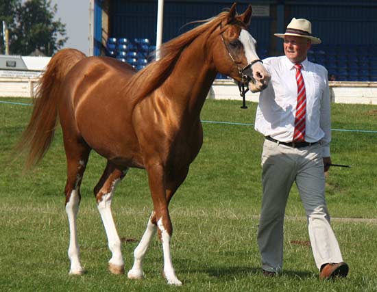 marbon-masadi-and-alan