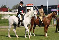 binleyprincesalim-maredarees