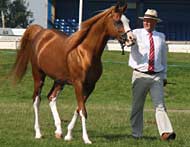 marbon-masadi-and-alan