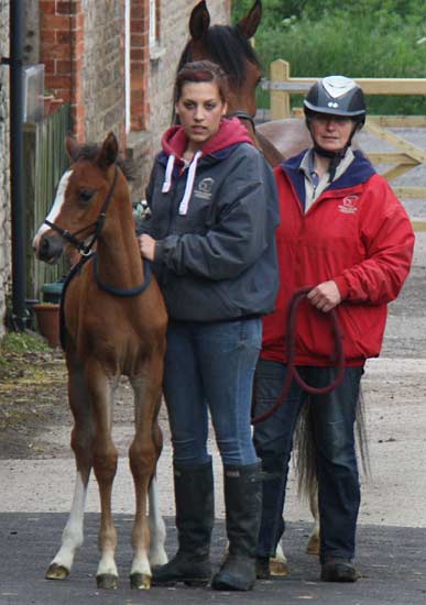 02-crew-film-palermo