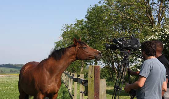 09-a-pevensey-zariffia