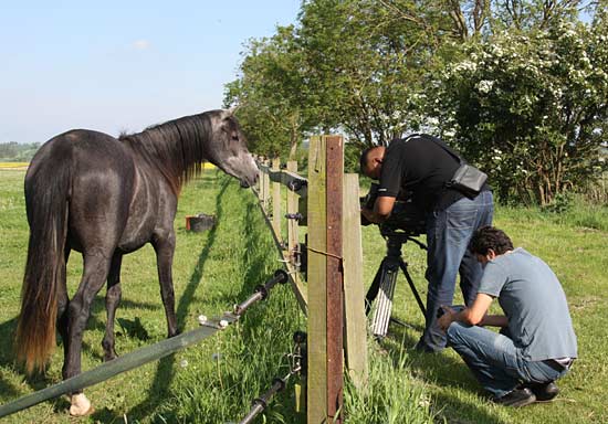 17-palmyra-meet-alkass