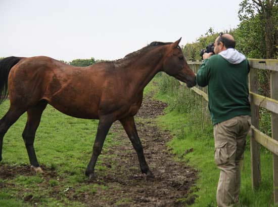 19-zhodi-films-sambist