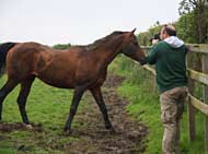 19-zhodi-films-sambist