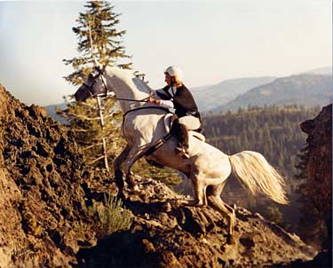 cougarrock