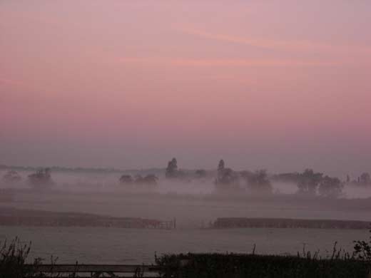 mistymorning
