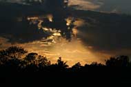 img_0062