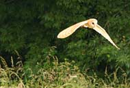 img_0170