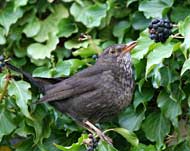 img_1262