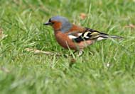 img_8566