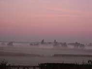mistymorning